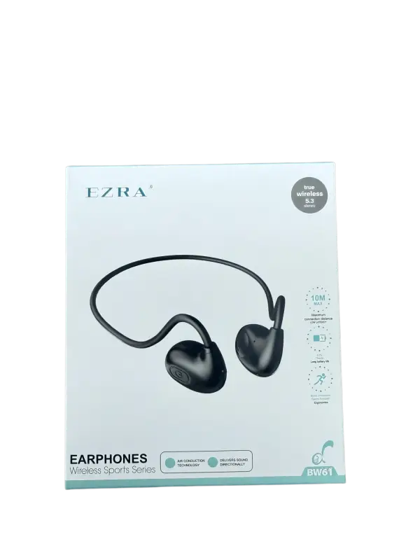 BW61 Wireless Earphones - Accessories